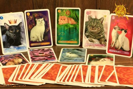 Kocia kabała - karty do gry i wróżb