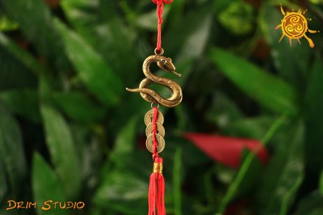 Wąż z monetami Feng Shui - rozwinięcie umiejętności, pomoc w realizacji pomysłów